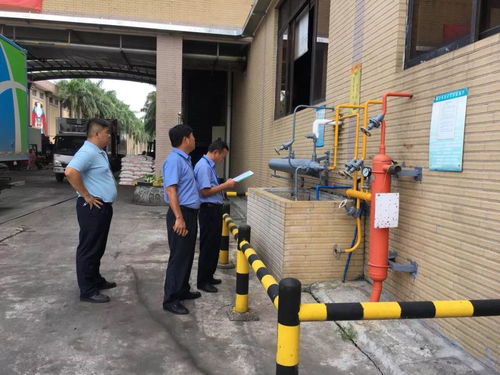 區街聯動，筑牢安全防線 開展危險化學品企業安全生產專項檢查