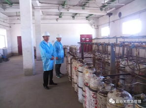 嘉峪關市應急管理局開展“十一”期間危化品生產企業安全生產暗查行動